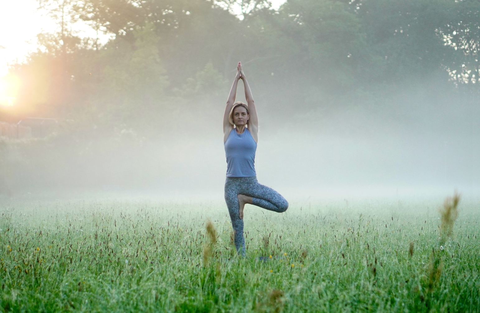 Zdjęcie porannej rosy na trawie
